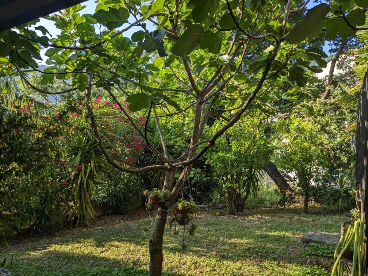 Cardile La Casa Di Lidia Bed & Breakfast エクステリア 写真