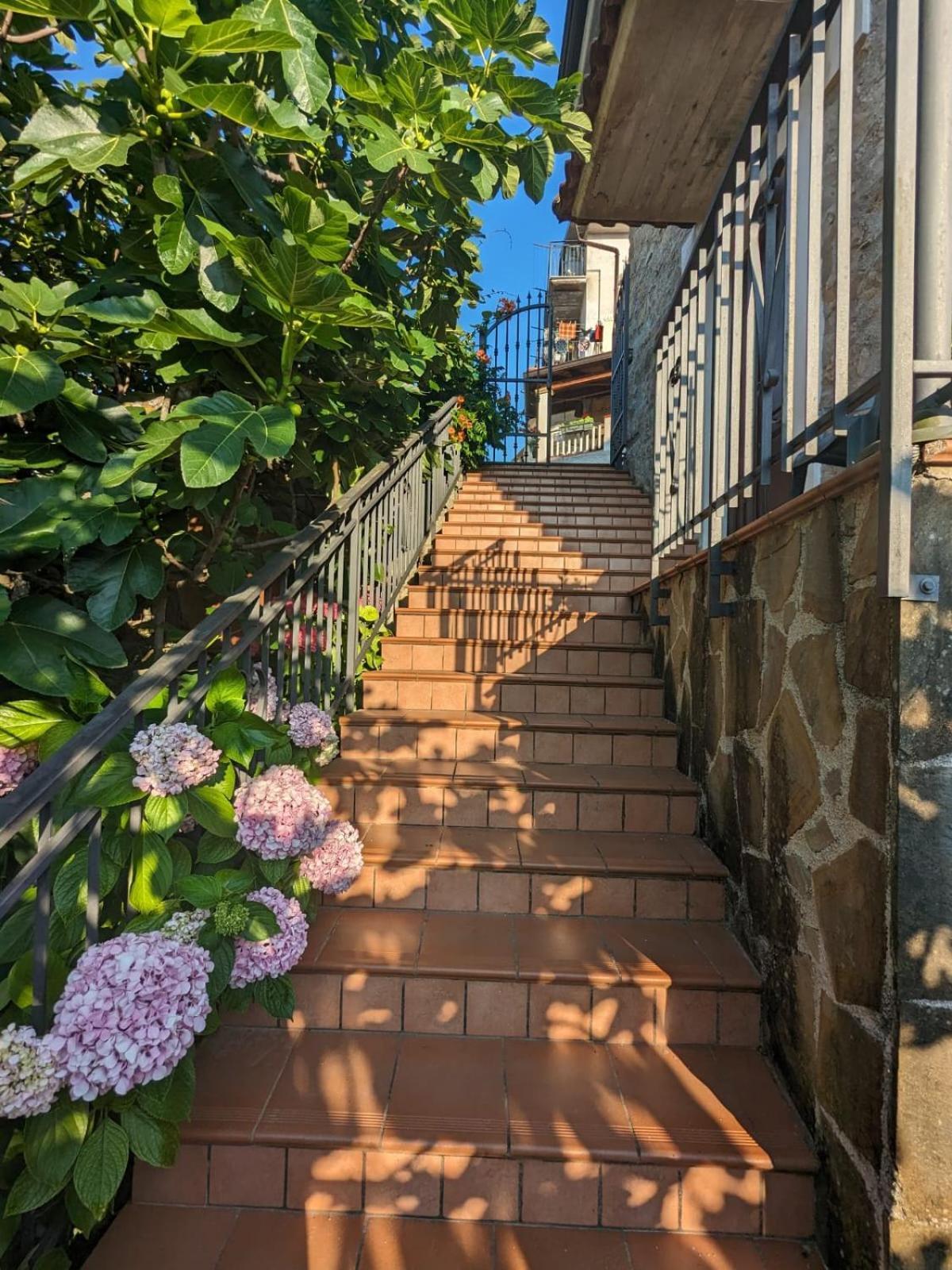 Cardile La Casa Di Lidia Bed & Breakfast エクステリア 写真